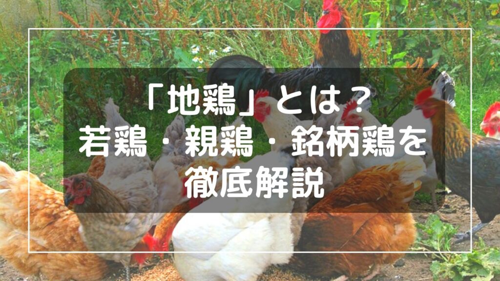 【地鶏とは?】若鶏と銘柄鶏の違い、2種類の親鳥まで徹底解説
